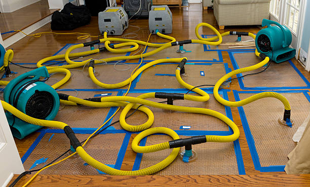 Professional Sewage Cleanup technician working in Castaic, CA